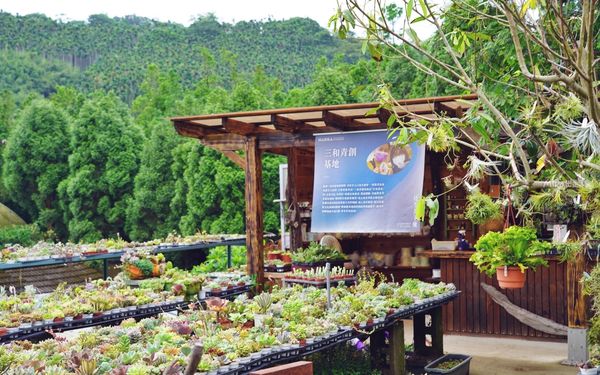 ▲▼桃園人的秘境，舊雞舍改建的多肉植物園餐廳。（圖／部落客Mika提供）