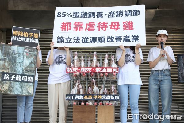 ▲▼動保團體台灣動物社會研究會 籲立委制定法令 改善台灣8成蛋雞受虐產業體質 記者會。（圖／記者屠惠剛攝）