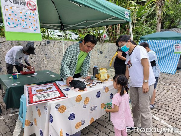 ▲▼以森林療癒為主題的仲夏蹓市集。（圖／花蓮分署提供，下同）