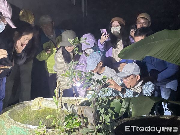 ▲▼以森林療癒為主題的仲夏蹓市集。（圖／花蓮分署提供，下同）