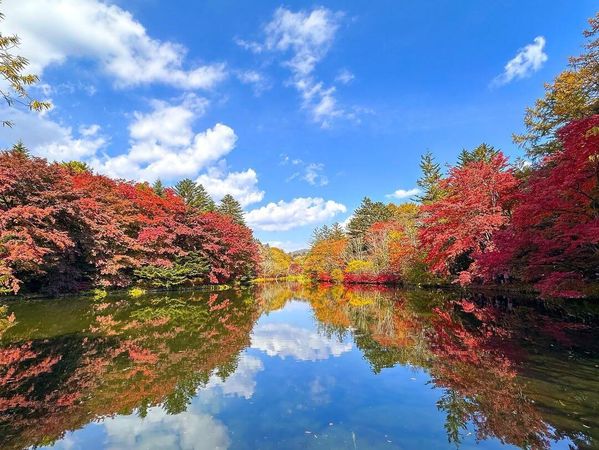 ▲▼日本皇室最愛的度假勝地，2024輕井澤人氣景點都這。（圖／ReadyGo提供）