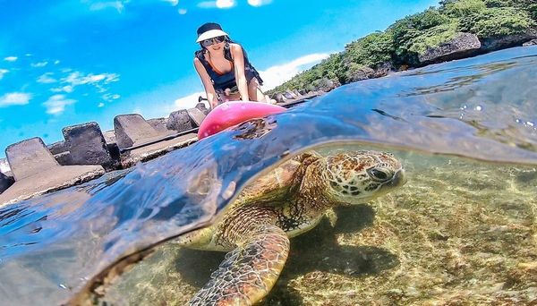 ▲▼小琉球景點 7大限定玩法、玩水秘境！來小琉球尋海龜必玩推薦。（圖／ReadyGo提供）