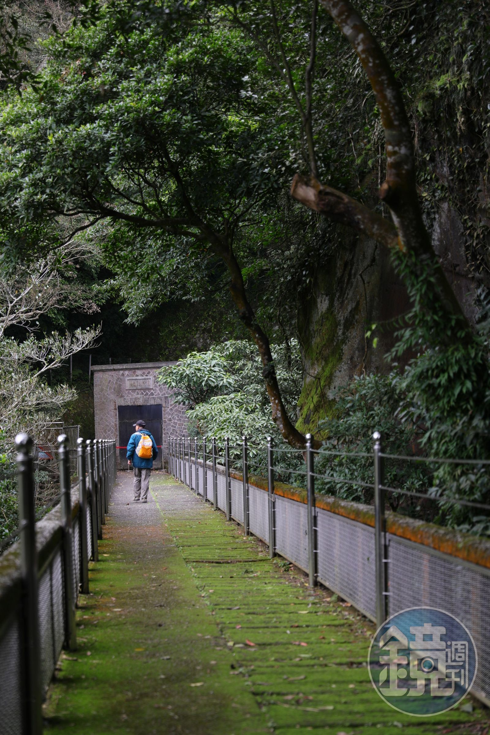 草山水道系統步道沿途同樣好走，無須費太多力氣。