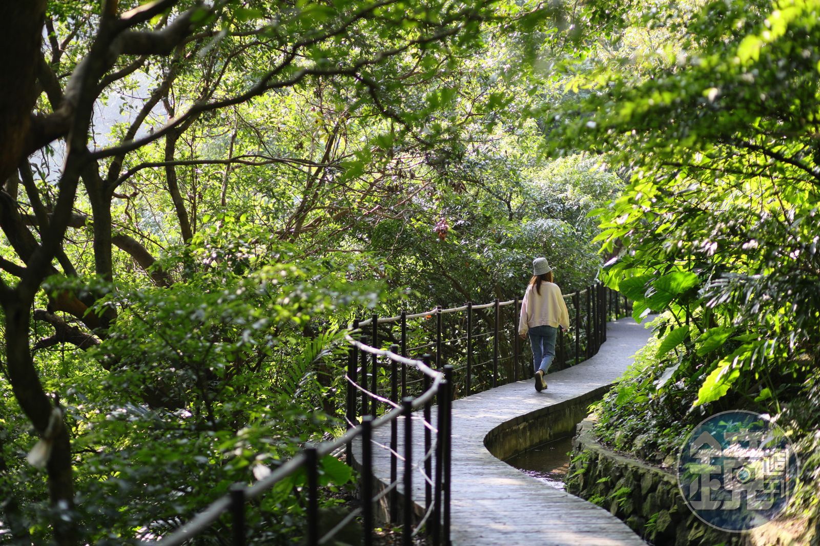 半嶺水圳步道沿途大多是平緩好走、配有欄杆的木棧道。