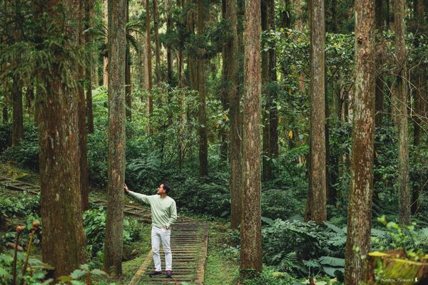 ▲▼住進台灣最高人氣森林遊樂區，開箱溪頭福華漢光樓全館唯一蜜月套房。（圖／部落客Ean部落閣提供）