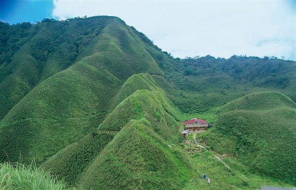 ▲▼人氣景點的宜蘭礁溪「抹茶山」，登山口處已設置1組紅外線人流計數器，將作為評估未來是否總量管制依據。（圖／林保署宜蘭分署提供，下同）