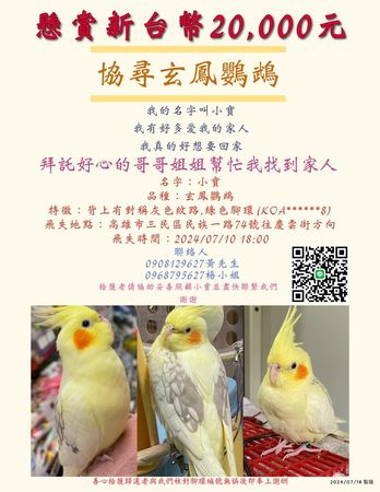 ▲▼毛毛你在哪／高雄玄鳳鸚鵡走失「有綠色腳環」　飼主懸賞2萬盼回家。（圖／飼主提供）