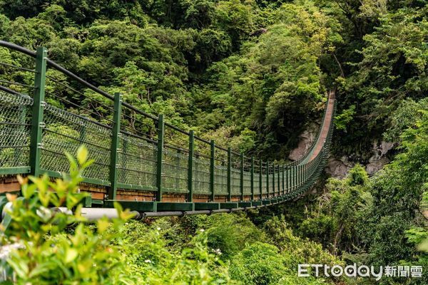 ▲▼花蓮分署轄管國家森林遊樂區、林田山林業文化園區、大農大富平地森林園區預警性封閉。（圖／花蓮分署提供，下同）