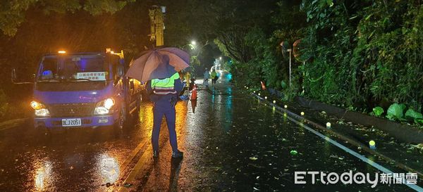 ▲▼凱米撲台，陽明山仰德大道路樹倒塌壓路燈。（圖／記者黃彥傑翻攝）