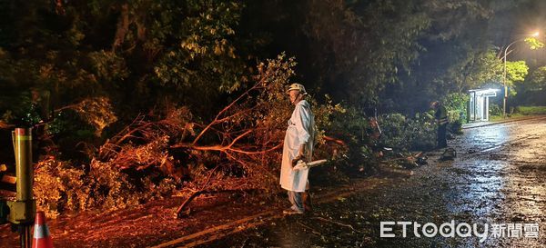 ▲▼凱米撲台，陽明山仰德大道路樹倒塌壓路燈。（圖／記者黃彥傑翻攝）