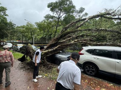 8年來首登陸強颱！凱米風雨漸增　北市72件路樹傾倒、10件停電