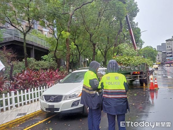 ▲▼新北中和捷運路一株路樹倒塌，壓到停放路旁的休旅車，警方在現場警戒等待區公所人員移除。（圖／記者陸運陞翻攝）