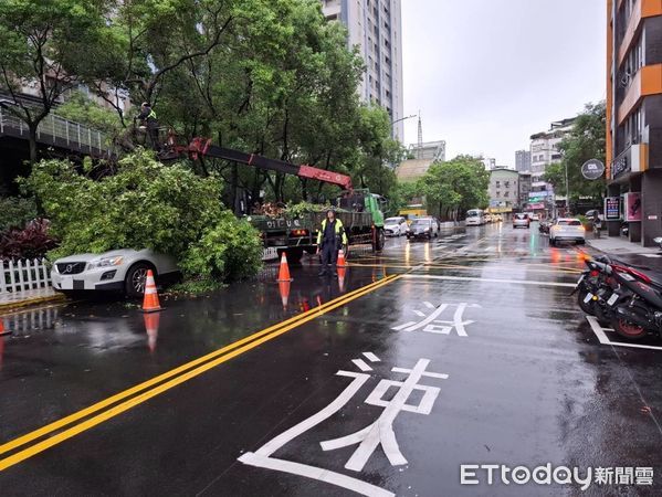 ▲▼新北中和捷運路一株路樹倒塌，壓到停放路旁的休旅車，警方在現場警戒等待區公所人員移除。（圖／記者陸運陞翻攝）