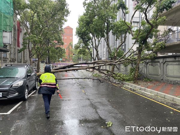 ▲台南市中西區南門路68巷內，發生路樹疑不敵強風倒塌妨害交通，市警二分局出動警網前往封鎖管制交通，並通報府工務局派員查處。（圖／記者林東良翻攝，下同）