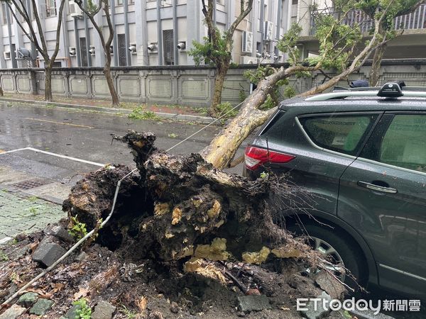 ▲台南市中西區南門路68巷內，發生路樹疑不敵強風倒塌妨害交通，市警二分局出動警網前往封鎖管制交通，並通報府工務局派員查處。（圖／記者林東良翻攝，下同）