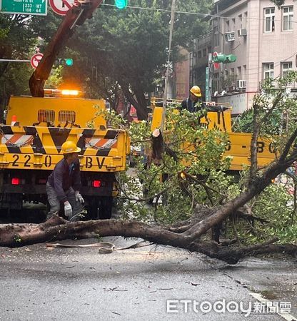 ▲▼▲北市永樂國小外路樹倒塌，導致國小外牆以及2台汽車遭波及，還有1名路人險遭樹襲。(圖／記者邱中岳翻攝）