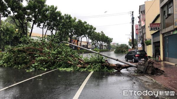 ▲▼高雄路樹倒塌             。（圖／記者吳奕靖翻攝）