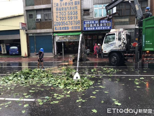 ▲▼高雄路樹倒塌             。（圖／記者吳奕靖翻攝）