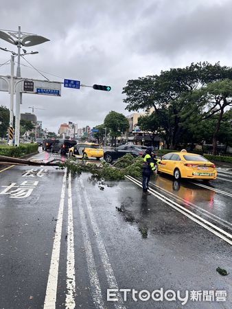 ▲▼高雄路樹倒塌             。（圖／記者吳奕靖翻攝）