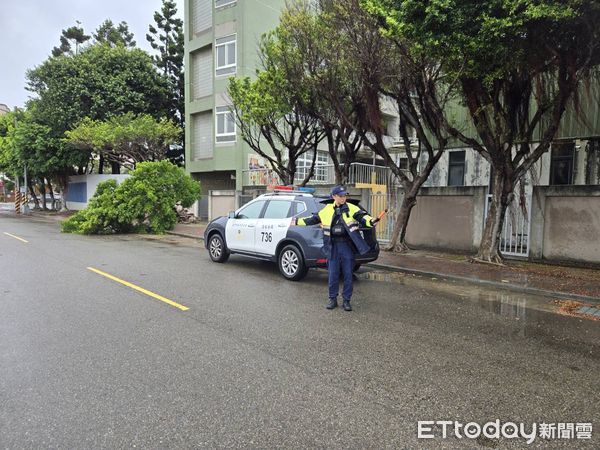 ▲▼凱米發威了！台中海線連傳2棵樹倒　2個月新車挨砸。（圖／記者許權毅翻攝）