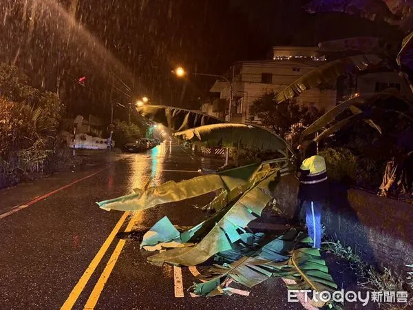 ▲▼花蓮靠近山邊地區，多處的路樹禁不起強大風雨的侵襲而倒塌，員警冒著風雨徒手清除，維持交通順暢。（圖／吉安警分局提供，下同）