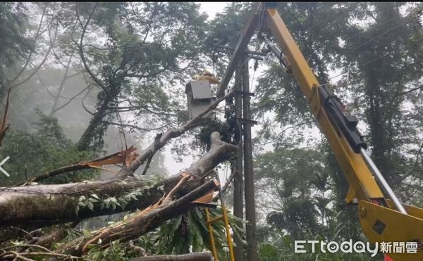 ▲▼  台電凱米颱風積極整備搶修   。（圖／台電嘉義區處提供）