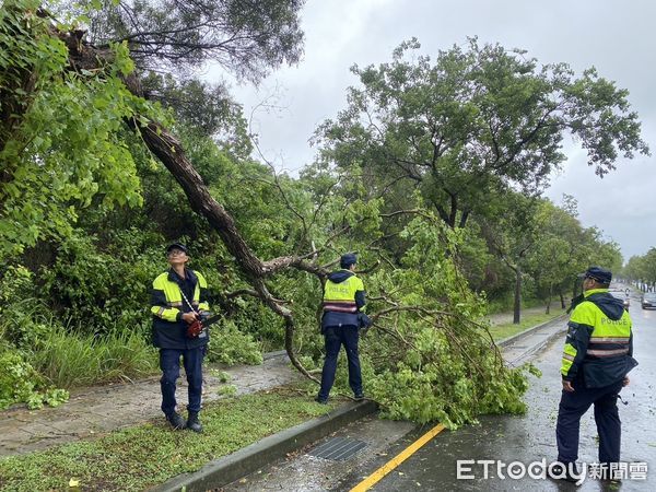 ▲▼凱米吹倒路樹阻擋人車，台中春社派出所自備電鋸快速排除。（圖／警方提供，下同）