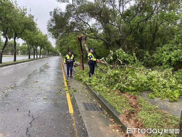 ▲▼凱米吹倒路樹阻擋人車，台中春社派出所自備電鋸快速排除。（圖／警方提供，下同）