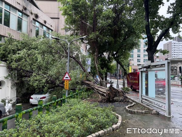 ▲▼北市民生東路一段、新生北路口發生路樹倒塌             。（圖／記者邱中岳攝）