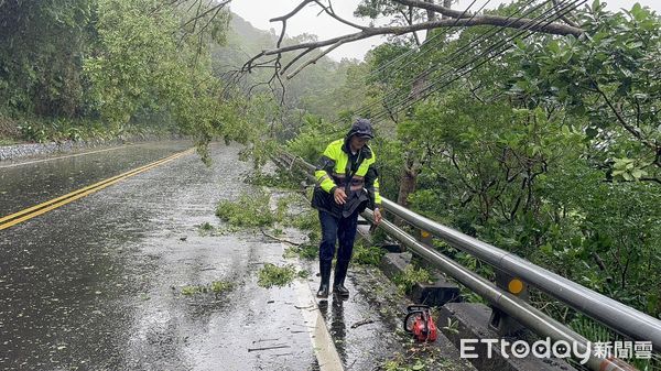 ▲警方清除倒塌路樹。（圖／記者楊漢聲翻攝）