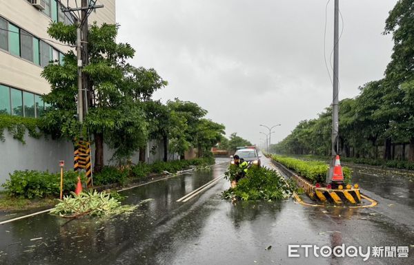 ▲枋寮警分局東海派出所所長藍清輝及警員吳亭宜移除倒塌路樹             。（圖／記者陳崑福翻攝）