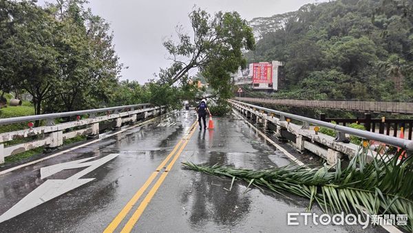 ▲▼ 阿里山山美、觸口地區傳出大樹倒擋路  。（圖／嘉義縣警局提供）