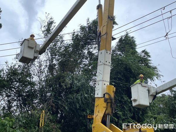 ▲▼狂風吹倒樹木壓電線！高雄2064戶停電，台電急搶修。（圖／記者賴文萱翻攝）