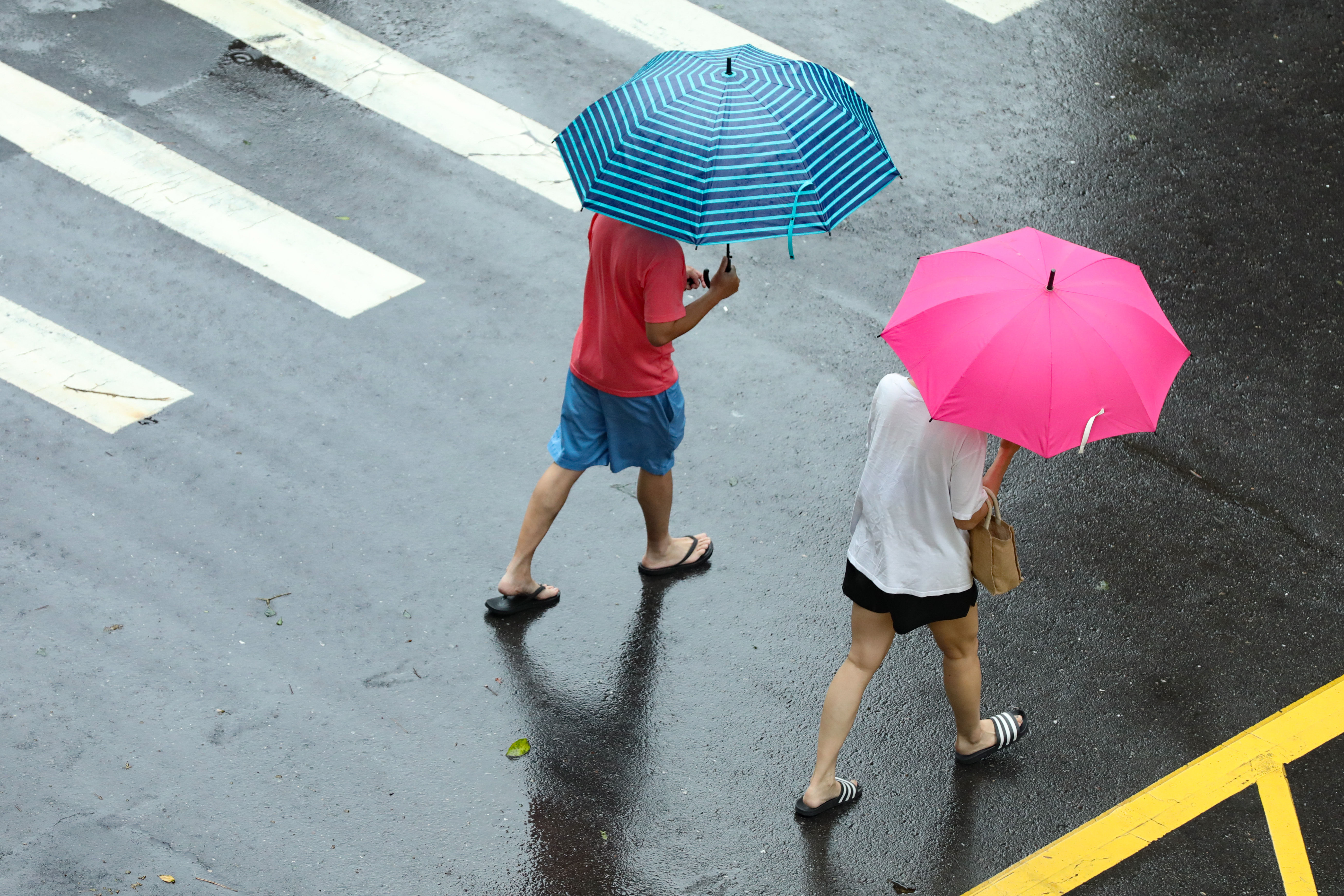 ▲▼凱米颱風逐漸遠離，北市街頭風雨趨緩,天氣,行人路權,路人,雷雨,口罩,斑馬線,過馬路,大雨,大雷雨,下雨,雨天,豪大雨,午後雷陣雨,梅雨,降雨,氣象,豪雨,颱風外圍環流,西南氣流,滯留鋒面,撐傘,雨傘,陰雨綿綿,潮濕,濕度,熱對流,天氣配圖。（圖／記者李毓康攝）