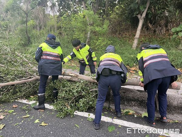 ▲路樹倒塌警方協助排除。（圖／記者楊漢聲翻攝）