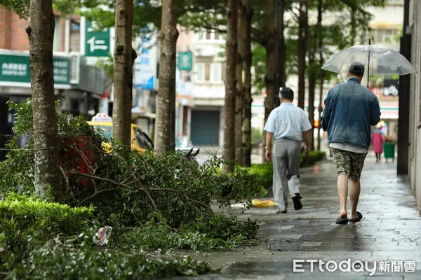 ▲▼凱米颱風逐漸遠離，北市街頭風雨趨緩,天氣,行人路權,路人,雷雨,口罩,斑馬線,過馬路,大雨,大雷雨,下雨,雨天,豪大雨,午後雷陣雨,梅雨,降雨,氣象,豪雨,颱風外圍環流,西南氣流,滯留鋒面,撐傘,雨傘,陰雨綿綿,潮濕,濕度,熱對流,天氣配圖。（圖／記者李毓康攝）