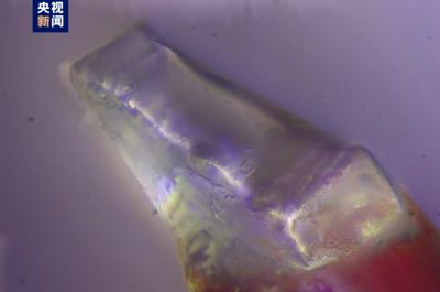 月球上有水資源? 中國科學家在月壤中首次發現「分子水」