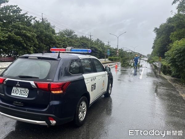 ▲▼    【臺19線義竹段路樹被「凱米」吹斷 布警即刻排除】   。（圖／布袋分局提供）