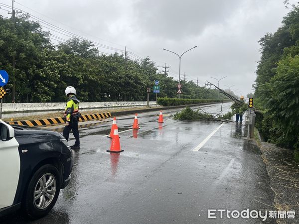 ▲▼    【臺19線義竹段路樹被「凱米」吹斷 布警即刻排除】   。（圖／布袋分局提供）