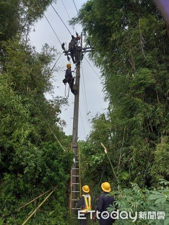 ▲凱米颱風過境造成苗栗縣1.6萬停電，台電晝夜搶修，截至今天下午尚有538戶停電中。（圖／台電公司提供）