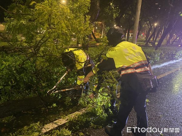 ▲北市敦化南路路樹倒塌，轄區警員到場迅速排除 。（圖／記者張君豪翻攝）