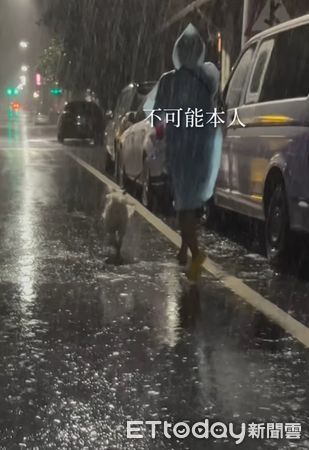 ▲▼白柴「堅持颱風天散步」雨中嗨狂奔　苦主沿路哀號：回家了啦。（圖／IG@zumiden_life）