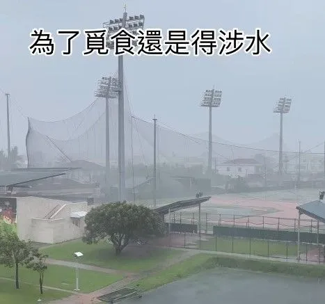 ▲屏東中信園區大雨。（圖／擷取自彭政閔IG）