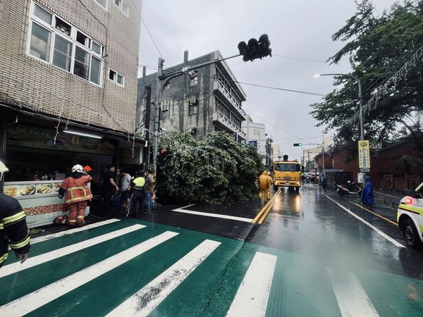 ▲鹿港樹木倒塌壓毀平房，男子受困。（圖／民眾提供）