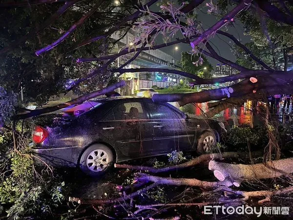 ▲新北市板橋區發生路樹砸毀車輛事故。（圖／記者陳以昇攝）