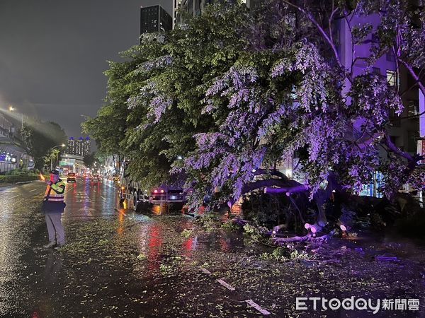 ▲新北市板橋區發生路樹砸毀車輛事故。（圖／記者陳以昇攝）