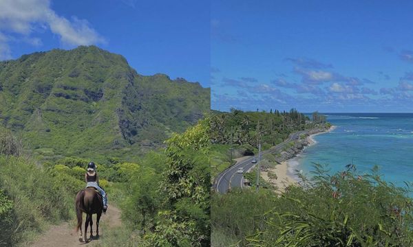 ▲▼夏威夷交通與跳島方式，各島嶼景點推薦！最詳細攻略。（圖／ReadyGo提供）