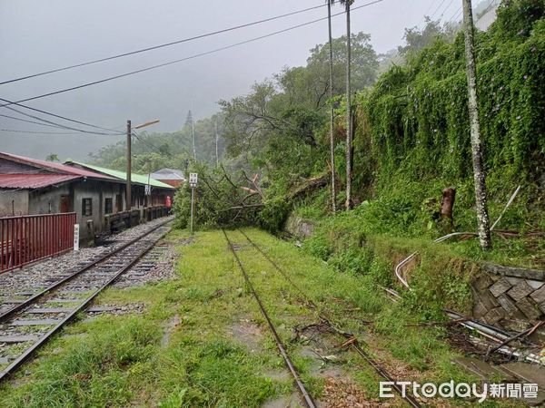 ▲▼   阿里山林鐵因凱米颱風毀壞車道停駛    。（圖／林鐵及文資處提供）