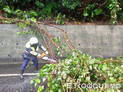 臺東縱谷多處路樹遭強風吹倒　關山員警合力移除