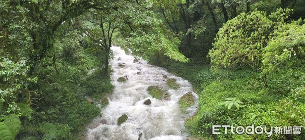 ▲▼ 阿里山國家森林遊樂區、鰲鼓濕地森林園區、觸口自然教育中心及轄下步道明（27）日持續休園及暫停開放， 。（圖／林業保育署嘉義分署提供）